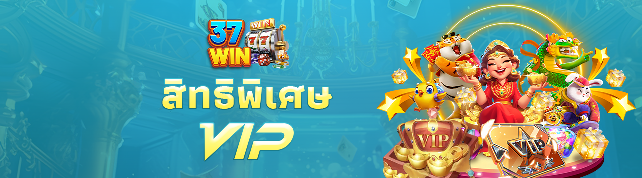 1738478031683_VIP
